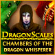 DragonScales: Chambers of the Dragon Whisperer