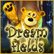 Dreamfields