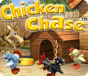 chicken chase