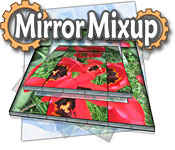 mirror mixup