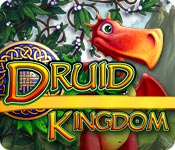 druid kingdom