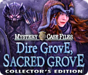 mystery case files: dire grove, sacred grove collector's edition