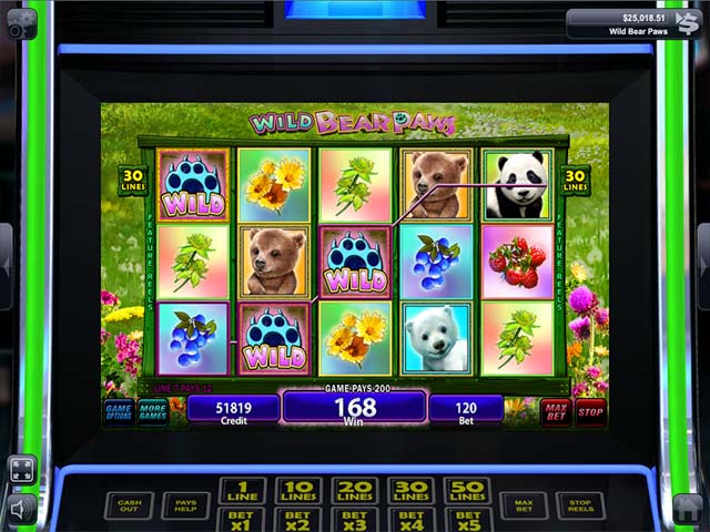 igt slots: wild bear paws screenshots 1