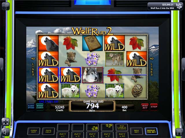 igt slots: wild bear paws screenshots 3