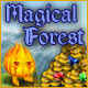Magical Forest
