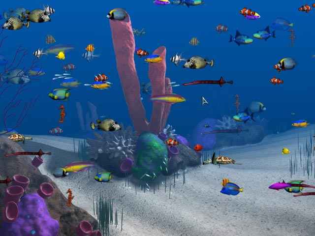 big kahuna reef screenshots 11