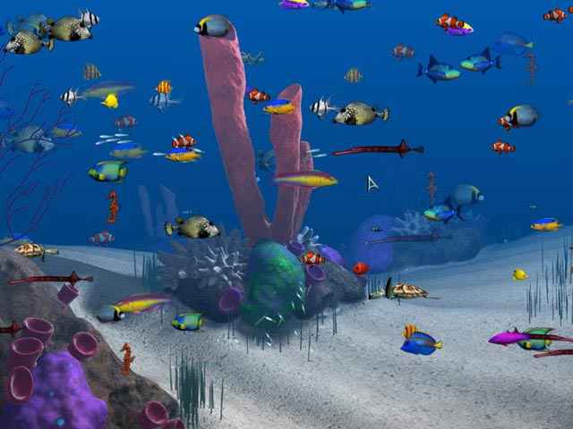 big kahuna reef screenshots 2