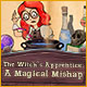 The Witch's Apprentice: A Magical Mishap