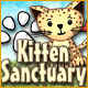 Kitten Sanctuary