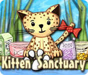 kitten sanctuary kitten sanctuary
