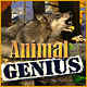 Animal Genius