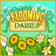 Blooming Daisies