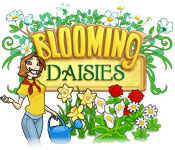 blooming daisies