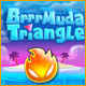 Brrrmuda Triangle