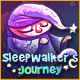 Sleepwalker's Journey