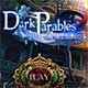 Dark Parables: The Final Cinderella Collector's Edition