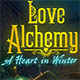 Love Alchemy: A Heart In Winter