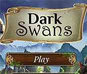 dark swans