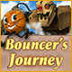 Bouncer's Journey