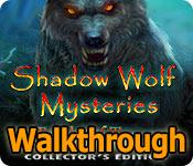 Shadow Wolf Mysteries: Tracks of Terror Walkthrough