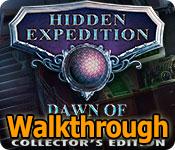 hidden expedition: dawn of prosperity walkthrough