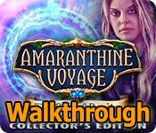 amaranthine voyage: the orb of purity collector's edition walkthrough