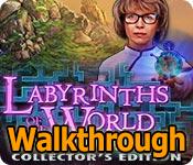 labyrinths of the world: changing the past walkthrough