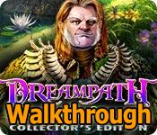 dreampath: curse of swamps collector's edition walkthrough