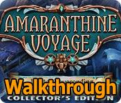 Amaranthine Voyage: Winter Neverending Walkthrough