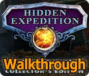 Hidden Expedition: Midgard's End Walkthrough