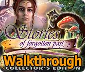 queen's quest: stories of forgotten past collector's edition walkthrough