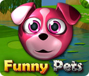 Funny Pets