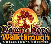 Dawn of Hope: Skyline Adventure Walkthrough