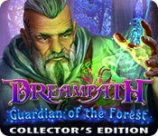 dreampath: guardian of the forest collector's edition