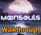 moonsouls: echoes of the past collector's edition walkthrough